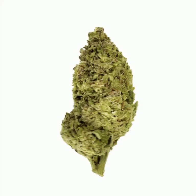 Pink Rosay Flower - Indica - THCA - 3