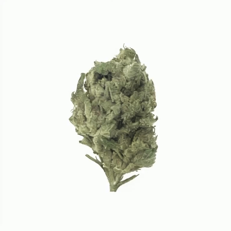Jelly Cake Flower - Indica - THCA - 3