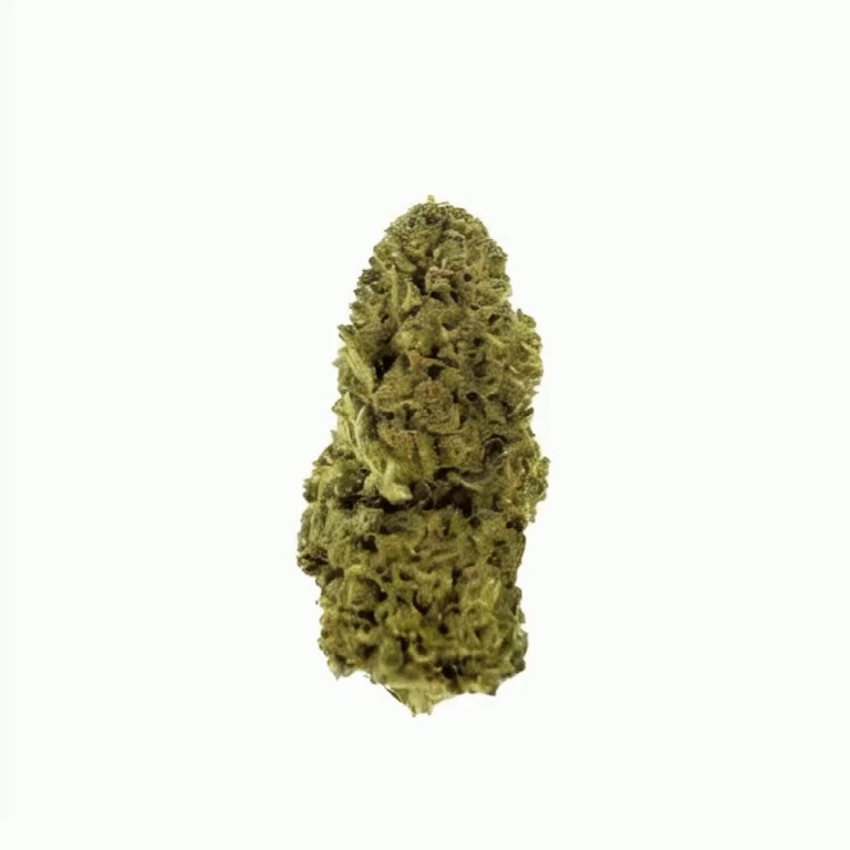Gary Payton Flower - Hybrid - THCA - 3
