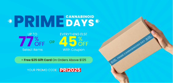Collection - Prime Days