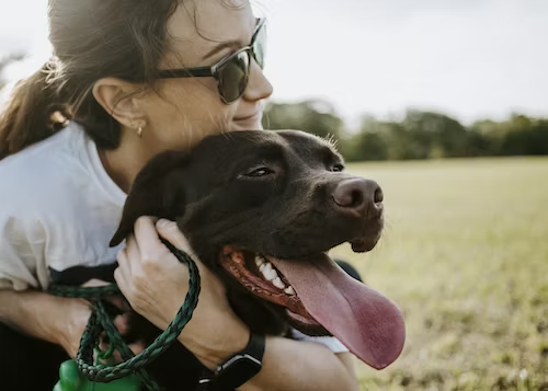 Easing Aches: CBD for Managing Arthritis in Dogs