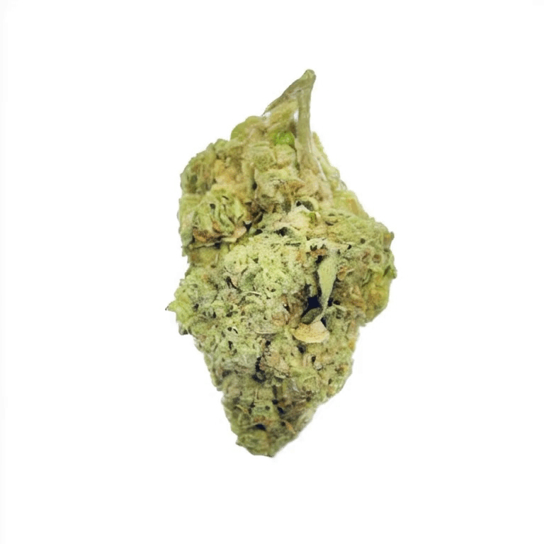 Durban Poison Flower - Sativa - THCA - 2
