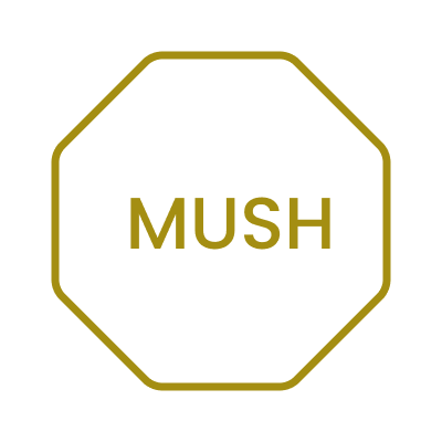 Mushroom Products