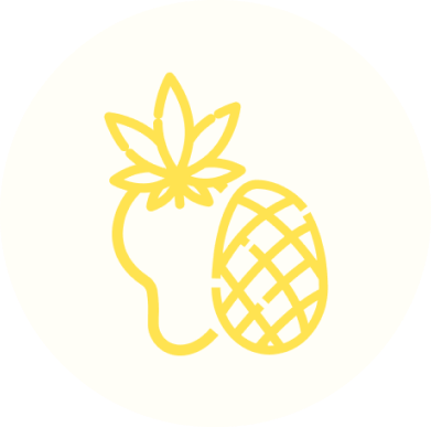Sour Mango Strain