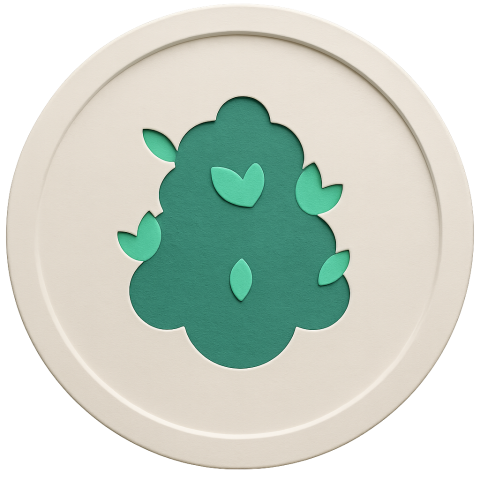 Runtz Strain