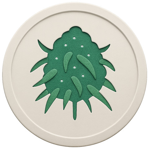 Rebel Runtz Strain