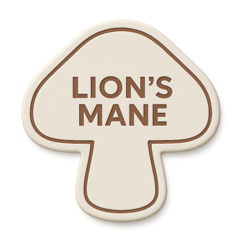 Lion's Mane Products