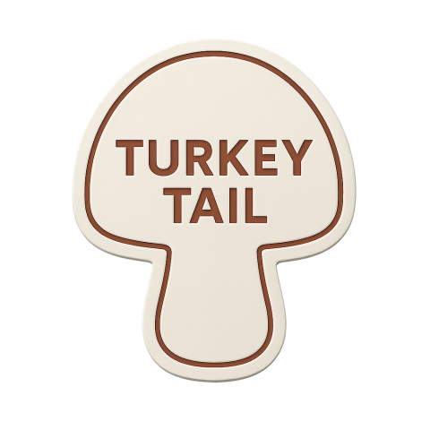 Turkey Tail Products