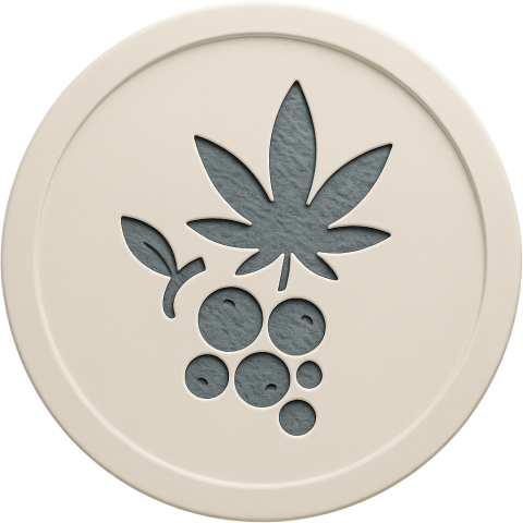 Blizzard Berry Strain