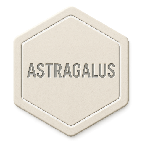 Astragalus Products
