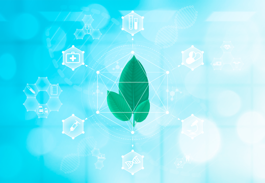 How 7-Hydroxy Mitragynine Affects the Body: The Science Explained