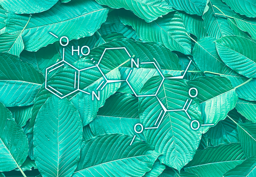 7-Hydroxy Mitragynine's Role in Kratom’s Effects