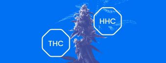 What-Is-HHC--Does-HHC-Get-You-High--HHC-vs-THC