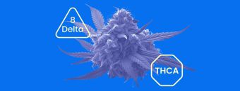 THCA vs Delta 8 Explained: Effects, Legality & More