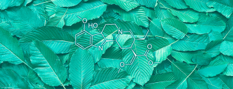 7-Hydroxy Mitragynine's Role in Kratom’s Effects