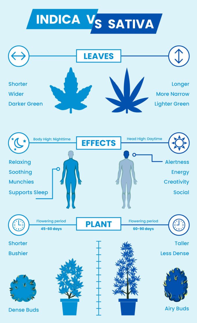 Sativa vs. Indica Chart