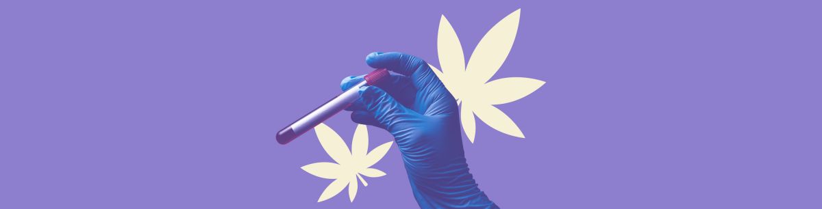 Help! Does Delta-10 THC Show Up on Drug Tests?