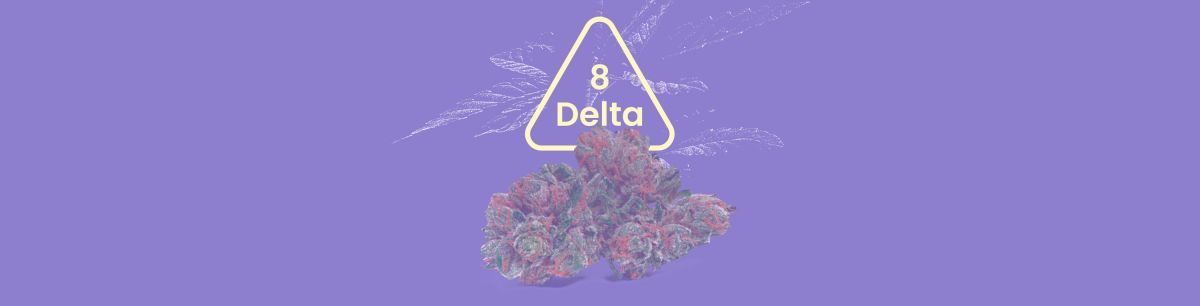 Delta 8 THC is a psychotropic compound found naturally in the Cannabis sativa plant. What is delta 8 and does it get you high? Is this cannabinoid safe? 