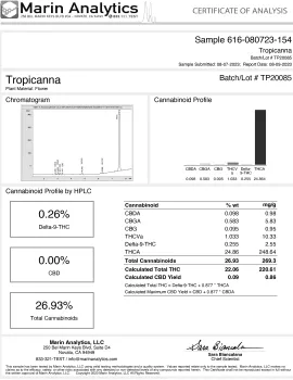 Tropicana Flower - Sativa - THCA