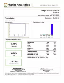 Gush Mintz Flower - Indica - THCA