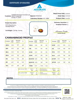 HHC Cube Gummy Pouch - 25mg - Artisan 2