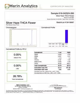 Silver Haze Flower - Sativa - THCA
