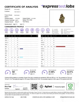 Candy Gelato Flower - Hybrid - THCA