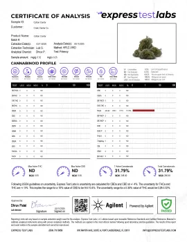 Cotton Candy Flower - Hybrid - THCA