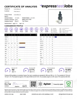 Delta 8 & Full Spectrum CBD Oil - 2000mg - Chill Plus