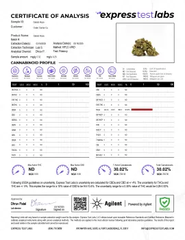 Gelato Haze Flower - Hybrid - THCA