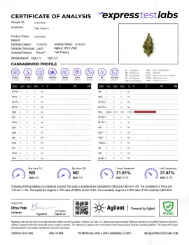 Lemon Bean Flower - THCA - Sativa