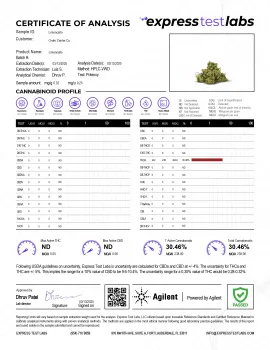 Limoncello Runtz Flower - Sativa - THCA