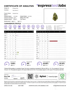 Pineapple Pizza Flower - Hybrid - THCA