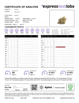 Pink Runtz Flower - Hybrid - THCA