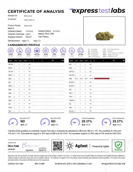 Walrus Kush Flower - Hybrid - THCA