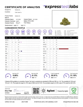 Wedding Pie