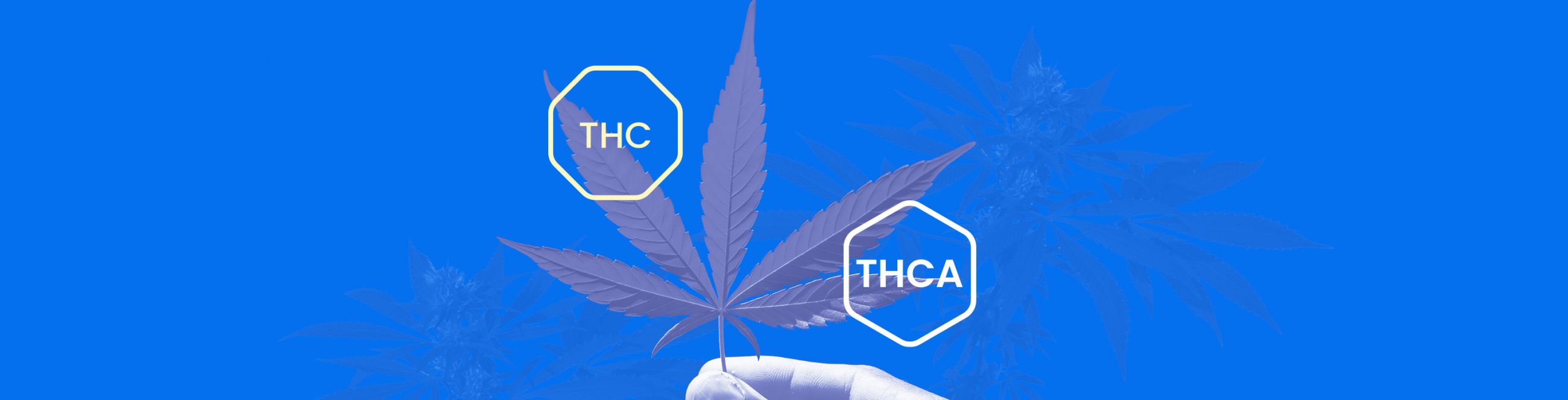 What is THCA? - THC vs. THCA