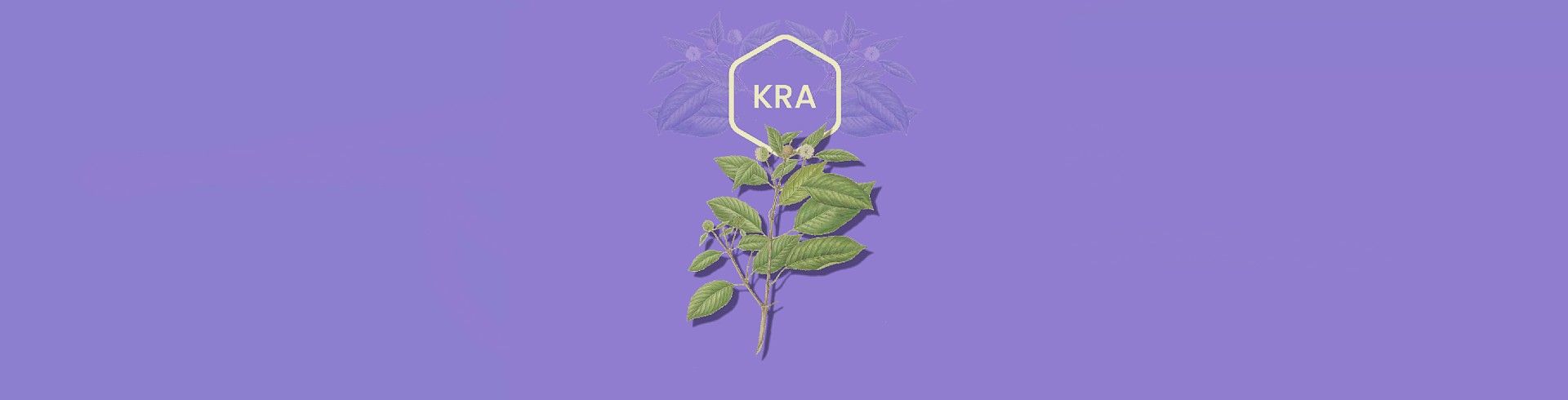 Does Kratom Show Up On A Drug Test? All The Facts