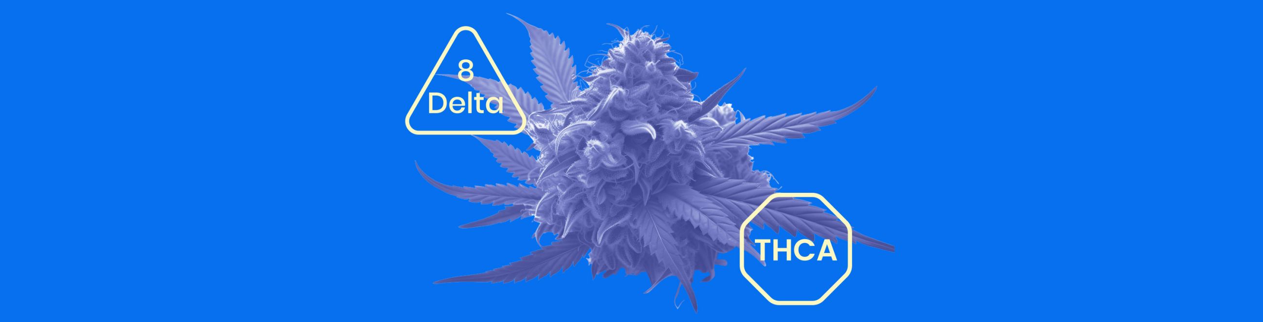 THCA vs Delta 8 Explained: Effects, Legality & More
