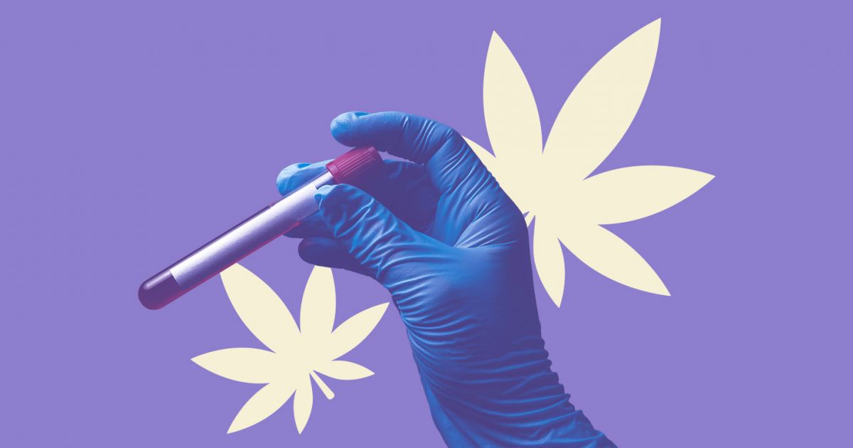 Do Thc Vapes Show On Drug Tests Help! Does Delta-10 THC Show Up on Drug Tests?