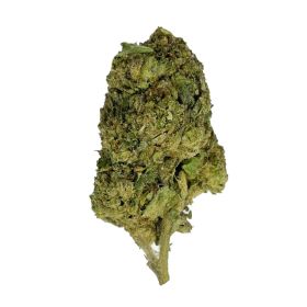 Tropicana Flower - Sativa - THCA