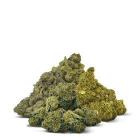 Half O THCA Flower Bundle - Sativa - Fresh