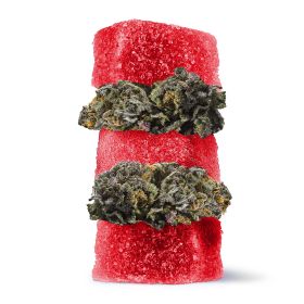 Delta 8 + Live Resin Gummies - 50mg - Granddaddy Purple - Indica