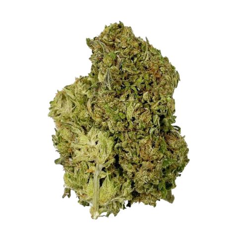 THCA Flower Ounce Bundle - Indica - Fresh - Thumbnail 5