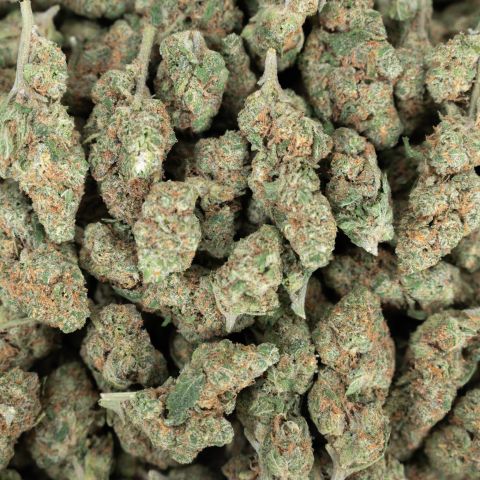 Blue Satellite Flower - Sativa - THCA - Thumbnail 2