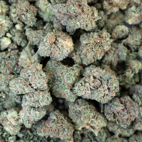 Italian Ice Flower - Hybrid - THCA - Thumbnail 2