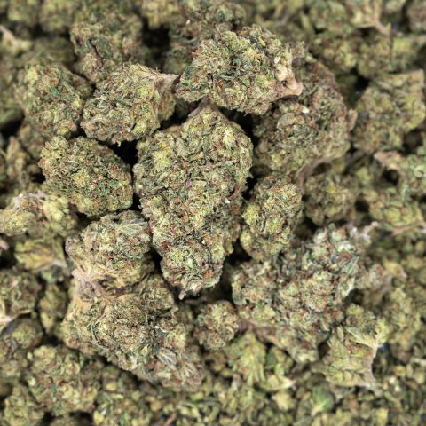 Jungle Juice Flower - Hybrid - THCA - Thumbnail 2