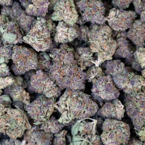  Pink Runtz Flower - Hybrid - THCA - Thumbnail 2