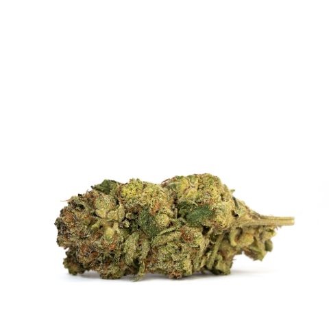 Walrus Kush Flower - Hybrid - THCA - Thumbnail 1