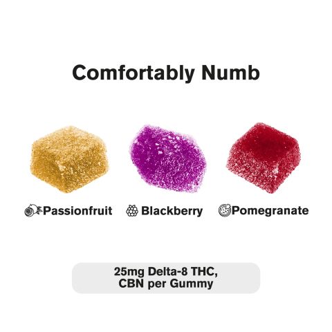 Comfortably Numb Blend - 25mg - D8, CBN Gummies - Blends by Fresh - Thumbnail 3